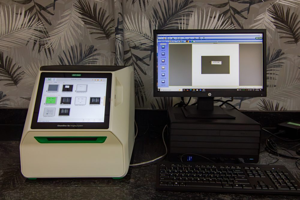 Bio-Rad ChemiDoc Go Imaging system