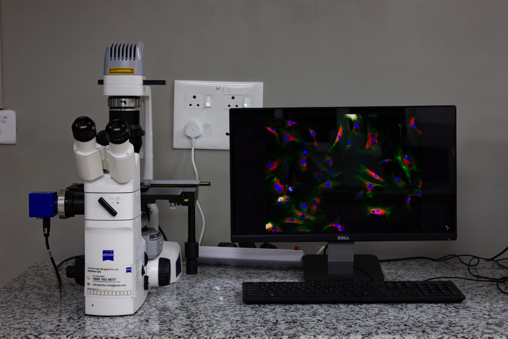 ZEISS Axio Vert.A1 Inverted Fluorescence Microscope