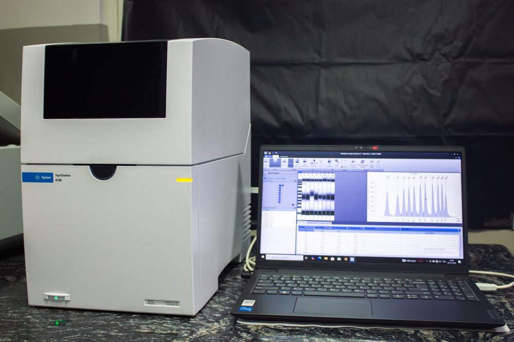 4150 TapeStation System (Agilent)