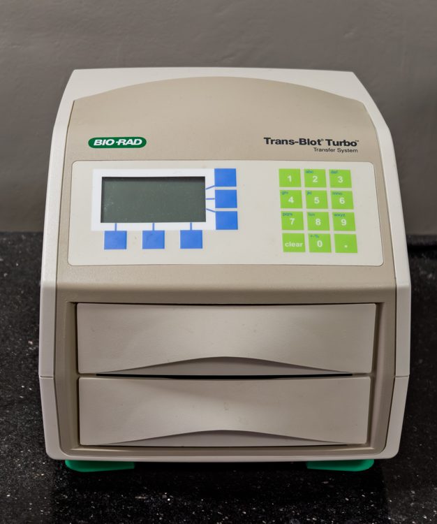 BIO-RAD Trans-Blot Turbo