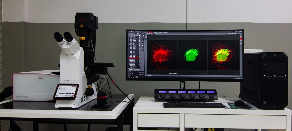 Leica STELLARIS 5 Confocal Microscope
