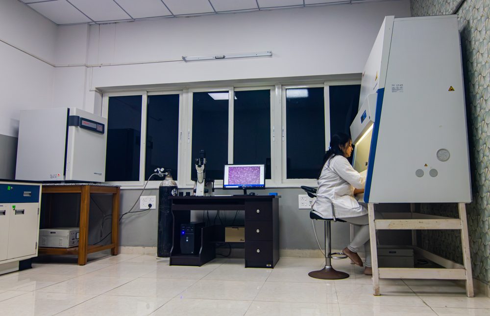 Cell Culture Facility 1