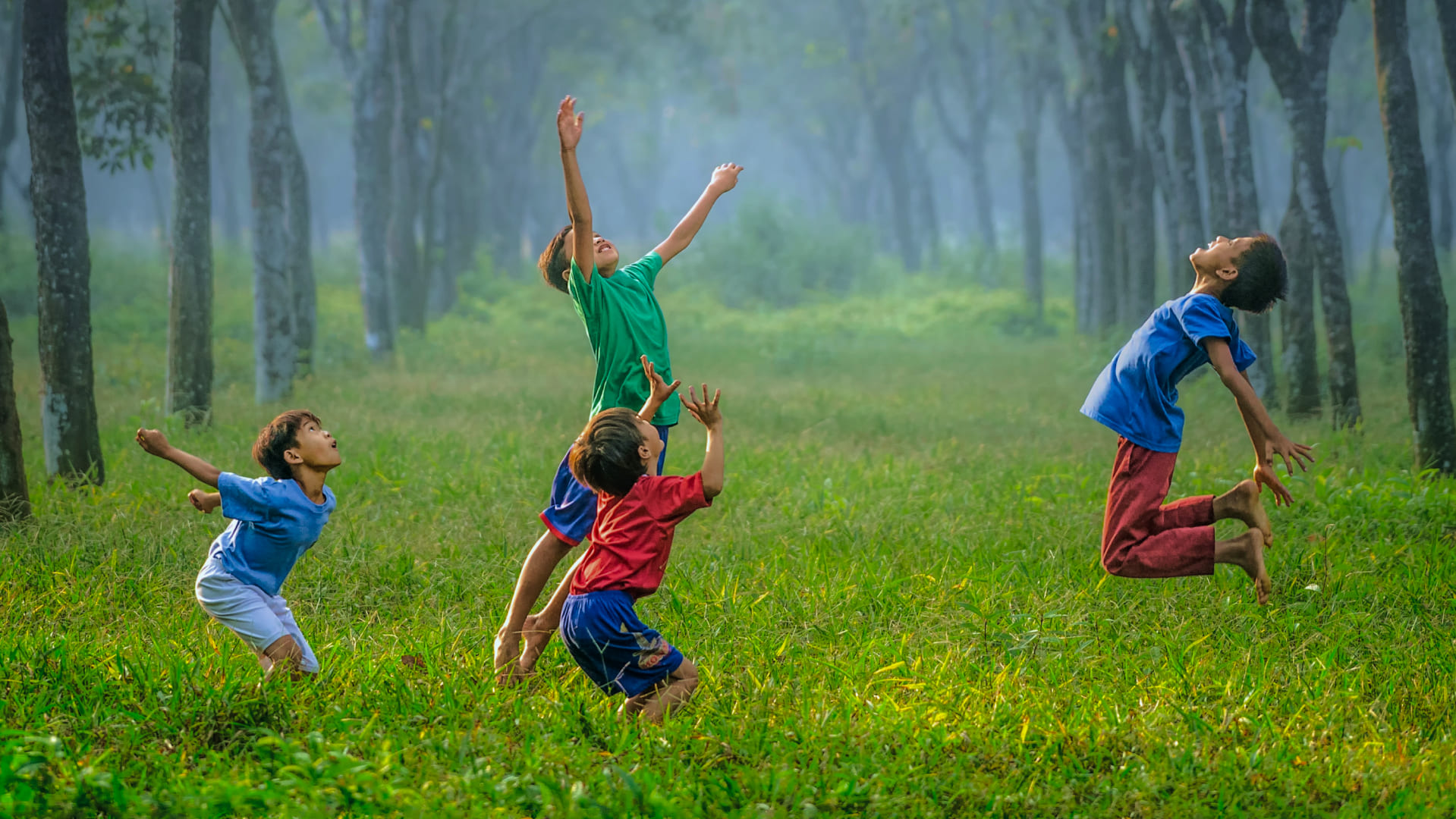 Stepping Stone featured by Liver Foundation