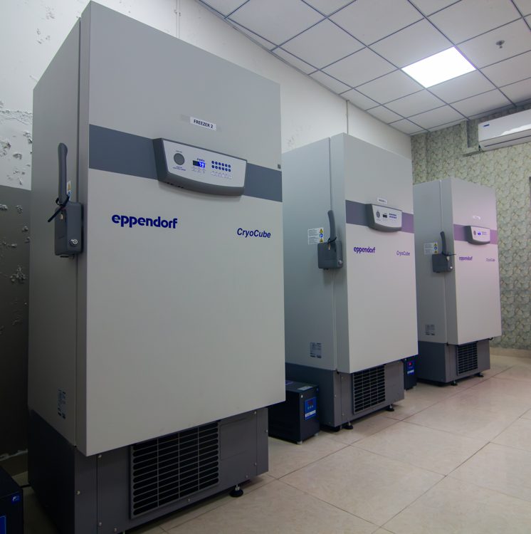eppendorf CryoCube F440n -80 Fridge