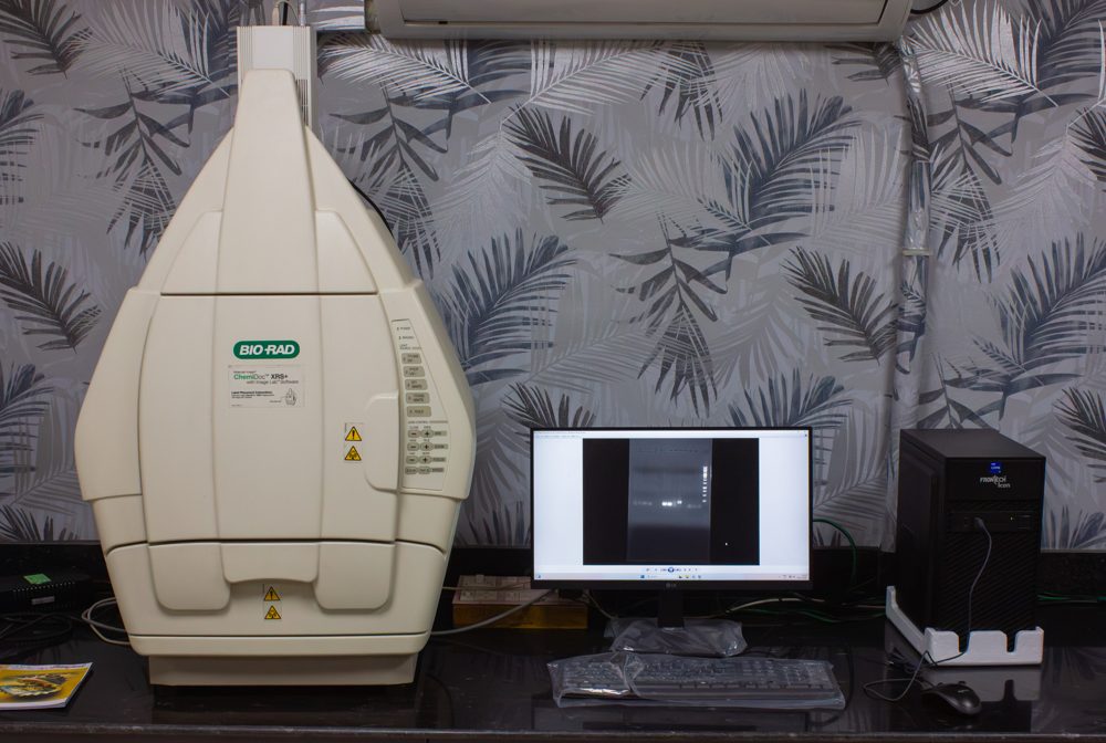 Bio-Rad ChemiDoc XRS+ Imaging System