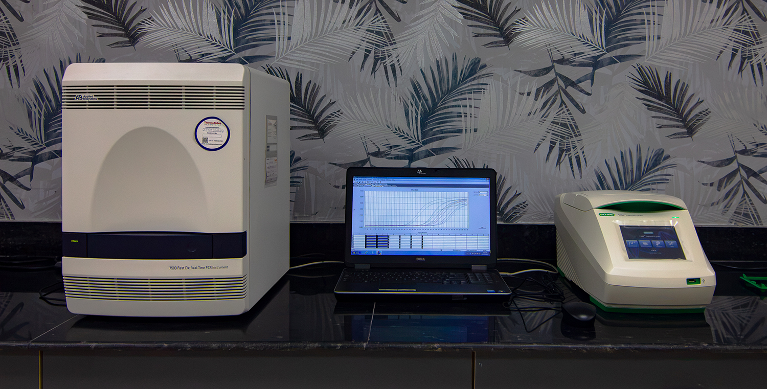 Applied Biosystems 7500 Fast Dx Real-Time PCR / Bio-Rad T100 Thermal Cycler