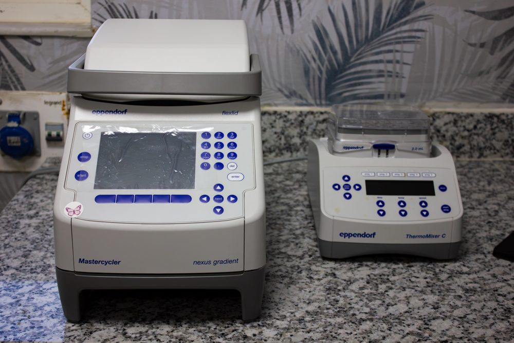 PCR and Thermal Incubator-Shaker (Eppendorf)